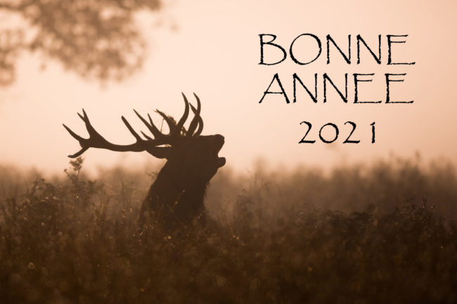 BONNE ANNEE 2021
