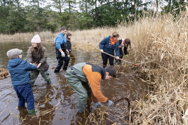 actions techniques dgest_fnc20220010