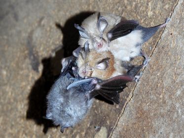 357242064_538087185089745_8754992481222677069_n