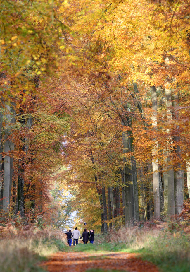 dgestim_paysage_fnc2013_5_